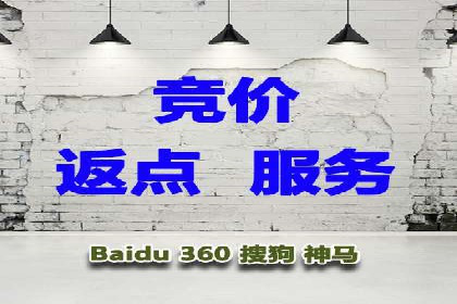 知名SEM服务公司成功案例分享